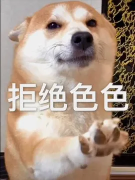 不可以色色表情包-可以色色（柴犬）