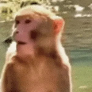(打哈欠表情包)