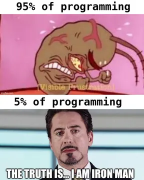 The Duality Of Developer Existence