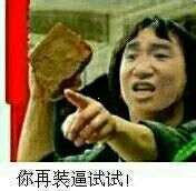 张学友版拿着砖头:你再装逼试试