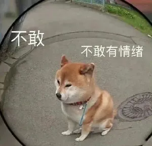 不敢不敢有情绪