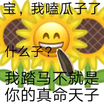 宝,我嗑瓜子了什么子?我踏马不就是你的真命天子