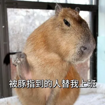 被豚指到的人替我上班