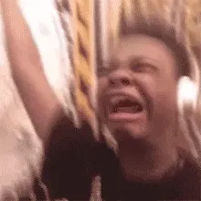 泪了GIF