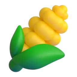 玉米