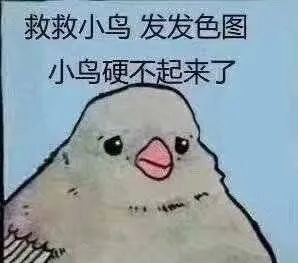 救救小鸟.发发色图.小鸟硬不起来了