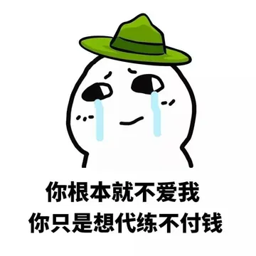 你根本就不爱我你只是想代练不付钱