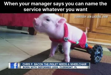 Stop Naming Services After Marvel Characters