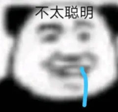 不太聪明