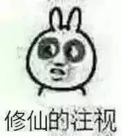 修仙的注视