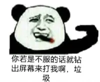 你若是不服的话就钻出屏幕来打我啊，垃圾（熊猫）
