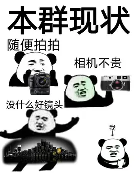 本群现状随便拍拍相机不贵没什么好镜头我(群聊表情包)
