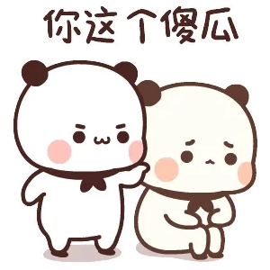 你这个傻瓜