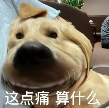 这点痛算什么