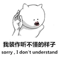 我装作听不懂的样子