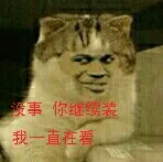 猫：没事，你继续装逼 我一直在看