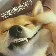 柴犬斗图表情包