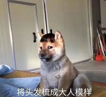 将头发梳成大人模样