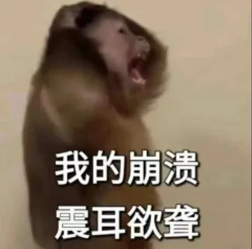 我的崩溃震耳欲聋