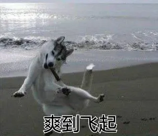 爽到飞起