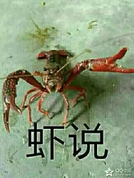虾说