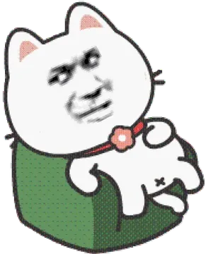 沙发猫