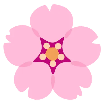 Cherry blossom
