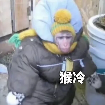 猴冷