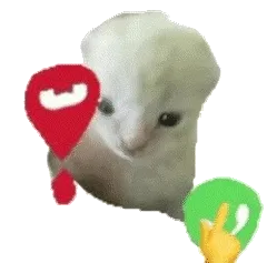 接电话小猫表情包（透明底图）