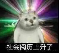 社会阅历上升了（mur猫表情包）