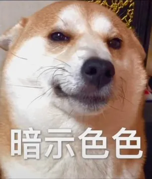 不可以色色表情包-可以色色（柴犬）
