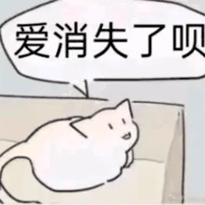 爱消失了呗 没感觉了呗 懒得理我了呗 无所谓了呗 有别人了呗 嫌弃我了呗