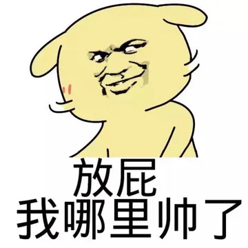 放屁，我哪里帅了