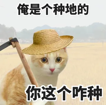 职场怼人必备表情包
