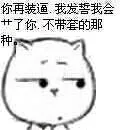 你再装逼，我发誓我会艹了你，不带套的那种。（猫脸）