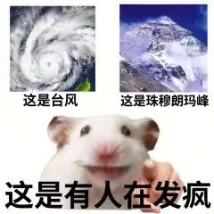 这是台风这是珠穆朗玛峰这是有人在发疯(鼠鼠表情包)