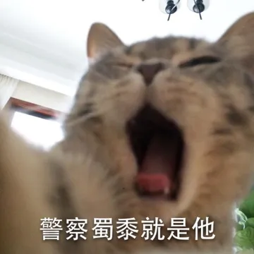 警察蜀黍就是他