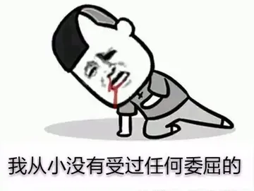 我从小没有受过任何委屈的（叶日天）