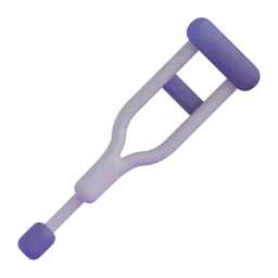 Crutch