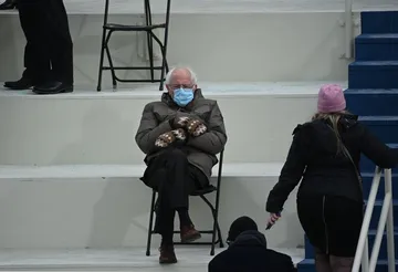 Bernie sitting
