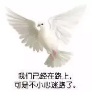 我们已经在路上，可是不小心迷路了