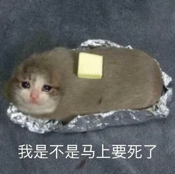 是喵星人啦00016-我是不是马上要死了猫