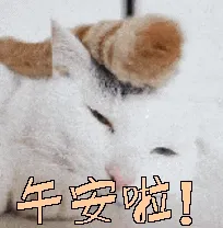 午安 memes