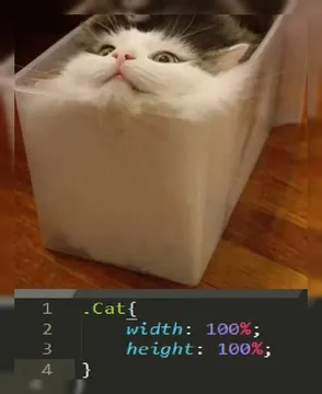 Responsive Design, But It's A Cat