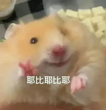 耶比耶比耶