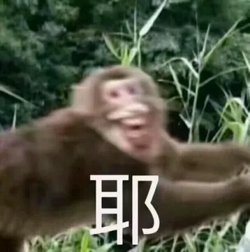 猴子：耶！