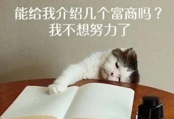 能给我介绍几个富商吗我不想努力了(猫咪)