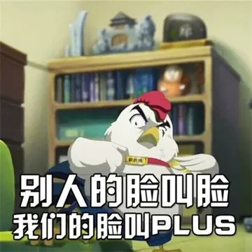 别人的脸叫脸，我们的脸叫 plus