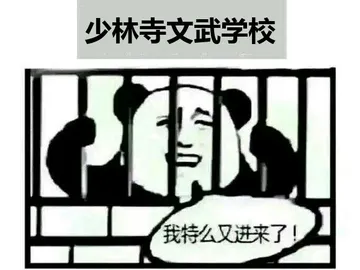 少林寺文武学校我特么又进来了