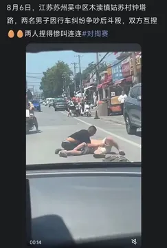 两名男子因行车纠纷争吵后斗殴，双方互捏蛋，两人捏得惨叫连连#对掏赛